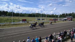 Hotingtravet